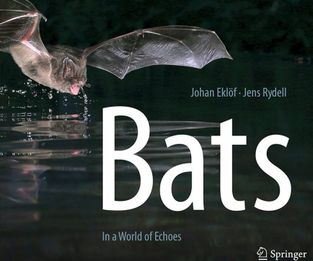 bats-cover