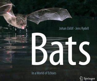 bats-cover